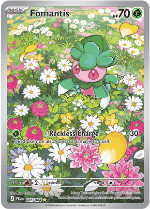 Fomantis - 085/084