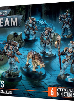 Warhammer 40K Kill Team: Wolf Scouts
