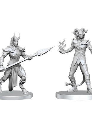 Pathfinder Miniature: Vordine & Pitborn Rogue