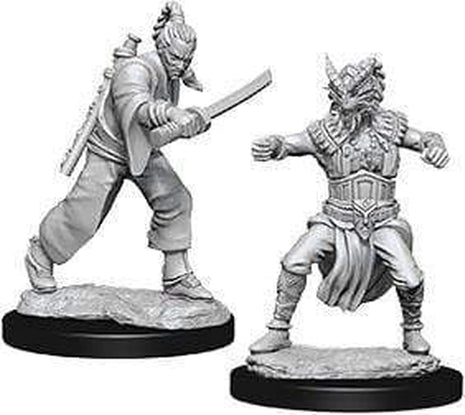 Dungeons and Dragons Miniatures: Human Monk Classic