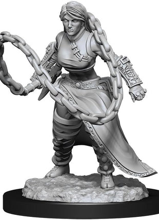 Dungeons and Dragons Miniatures: Human Monk