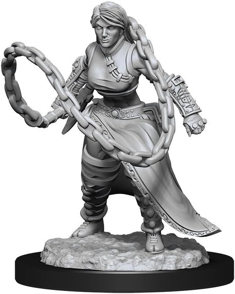 Dungeons and Dragons Miniatures: Human Monk