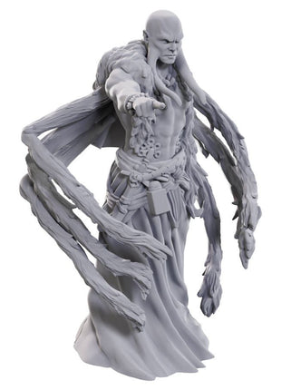 Dungeons and Dragons Miniature: Kraken Priest