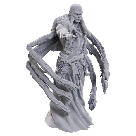 Dungeons and Dragons Miniature: Kraken Priest